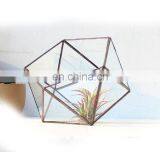 terrarium glass geometric terrarium plants for house decoration