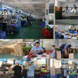 Huizhou Weiliys Technology Co., Ltd company overview - view 4 thumbnail