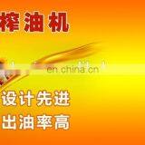 Lewin 6YY High Efficiency Hydraulic Oil Press Machine thumbnail-7