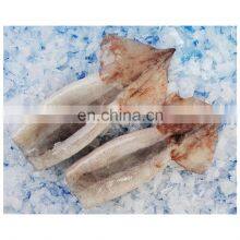 Wholesale bulk packing frozen squid tube with skin