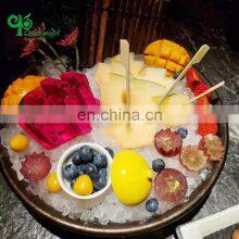 Yada Japanese Style Teppo Gun Shaped Skewer Hot Stamp Bamboo Paddle Skewer Sticks With Printed Logo thumbnail-2