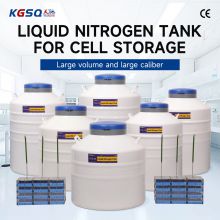 Bangladesh-cell freezing container-ln2 dewar