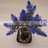 Outdoor Bonsai Rose Blossom Tree,mini Fake Agave Plant Treens thumbnail-4