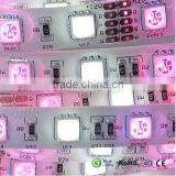 Color Changeable 60leds/m 72leds/m Waterproof IP65 SMD 5050 RGB+CW Flex Led Strip thumbnail-1