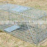 Collapsible One-door Live Animal Cage Trap For Raccon,Stray Cat,Groundhog, Opossum,Armadillos thumbnail-1