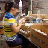 85W Flower Shaped Lamp, CE, ROHS, ISO Approved thumbnail-2