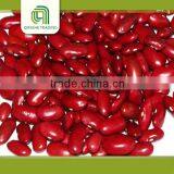 Canned Red Kidney Beans in Brine Pulse thumbnail-3