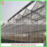 China Venlo Polycarbonate Sheet Greenhouse With Vegetable Seeds thumbnail-2