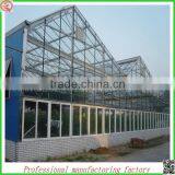 Commercial Large Tunnel Glass Greenhouse for Mushroom/roses/tomatoes thumbnail-4
