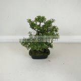 Short Tree Mini Tree Bonsai Artificial Small Tree thumbnail-5