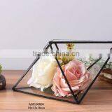Geometric Glass Terrarium Wholesale thumbnail-1