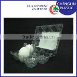 Clear Plastic Egg Box (6) thumbnail-4