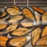 Frozen Mussel With Half Shell thumbnail-2
