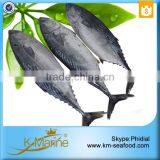 Carton or Woven Bag Packed 18 Months Shelf Life China Bonito Supplier thumbnail-2