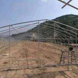 2 In X 20 Ft Galvanized Steel Pipe Elliptical And Flat Oval Steel thumbnail-1