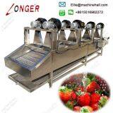 Hot Sale Automatic Industrial Onion Hot Air Drying Machine Vegetable Dryer Machine thumbnail-4