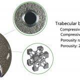 SEE Trabecular Acetabular Cup System