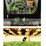 Cylindrical Odor Removal 4" 8 Inch Inline Fan Industrial Actieve Carbon Air Filter for Hidroponics Growing Tent System thumbnail-5