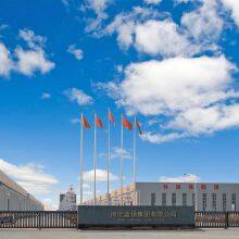 Landyoung Group company overview - view 1 thumbnail