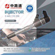 Injector Common Rail system BOSCH 0 445 110 258 truck injectors common rail