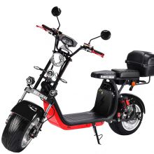 1500W Electric Scooter Halley Scooter Hot Sale ATV Scooter with Big Wheel