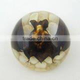 2016New Design Wholesale Paperweight With Real Insect thumbnail-4