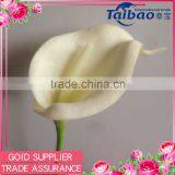Tianjin Taibo Wholesale PU Material Long Stem 35 cm Ivoy Real Touch Calla Lily thumbnail-1