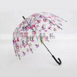 Durable Cheap Transparent Folding Umbrella With Cute Photo Printing