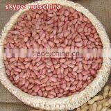 Peanut Kernels Flower 17 thumbnail-3