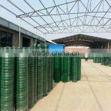 Holland Wire Mesh/ PVC Coated /Galvanized Welded Wire Mesh thumbnail-1