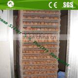 Large Capacity 22,528 Chicken Eggs Full Automatic Industrial Egg Incubators For Sale thumbnail-6