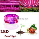 DC12V 300CM 60led/mSMD5050 Flexible Plant Growing Led Strip Light thumbnail-1