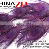 ZPDECOR Factory Bulk Sale Best Selling Dyed Eggplant Trimmed Short Peacock Feathers for DIY thumbnail-4
