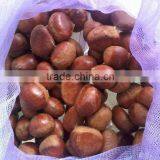 High Quality 5kg Gunny Bag Fresh Chinese Chestnut for Jordan thumbnail-6