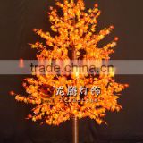 Led Maple tree yellow leaf