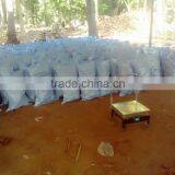 Fresh Coconuts From Kerala thumbnail-4