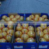 Chinese Fresh Juicy Pomelo Honey Pomelo Pomelo Fruit With Cheap Price thumbnail-4