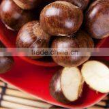 Chinese Best Quality Fresh Chestnuts 2013 Crop thumbnail-3