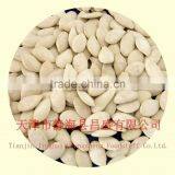 Plumpness Roasted and Salted Pumpkin Seeds thumbnail-1