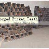 Forging Teeth thumbnail-4