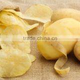 Frying Snacks Machinery thumbnail-4