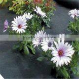 Breathable Weed Control in Flower Beds thumbnail-1