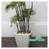 Garden Plastic Flower Pots,garden Planter Pots,vertical Garden Self-watering Planter,hydroponic Systems Planter Pots thumbnail-4