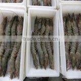 Frozen Shrimp and Chicken thumbnail-1