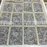 500g BQF Baby Squid thumbnail-4