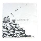 Micro Fiber Glasses/Cleaning Cloth LS Eplus