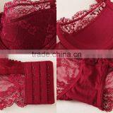 3/4 Cup Nylon & Lace Bra and Panties Set, Different Size & Hollow & Breathable, Floral, More Colors, Sol thumbnail-6