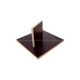 Marine Plywood / Plywood thumbnail-3