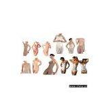 Sell Figure-Shaping and Beauty-Body Underwear thumbnail-1