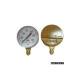 Sell Pressure Gauge With Blow-Out Plate